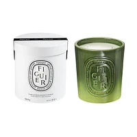 Figuier Indoor/Outdoor Candle