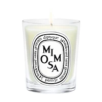 Mimosa Classic Candle