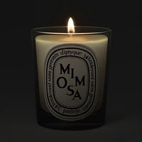 Mimosa Classic Candle