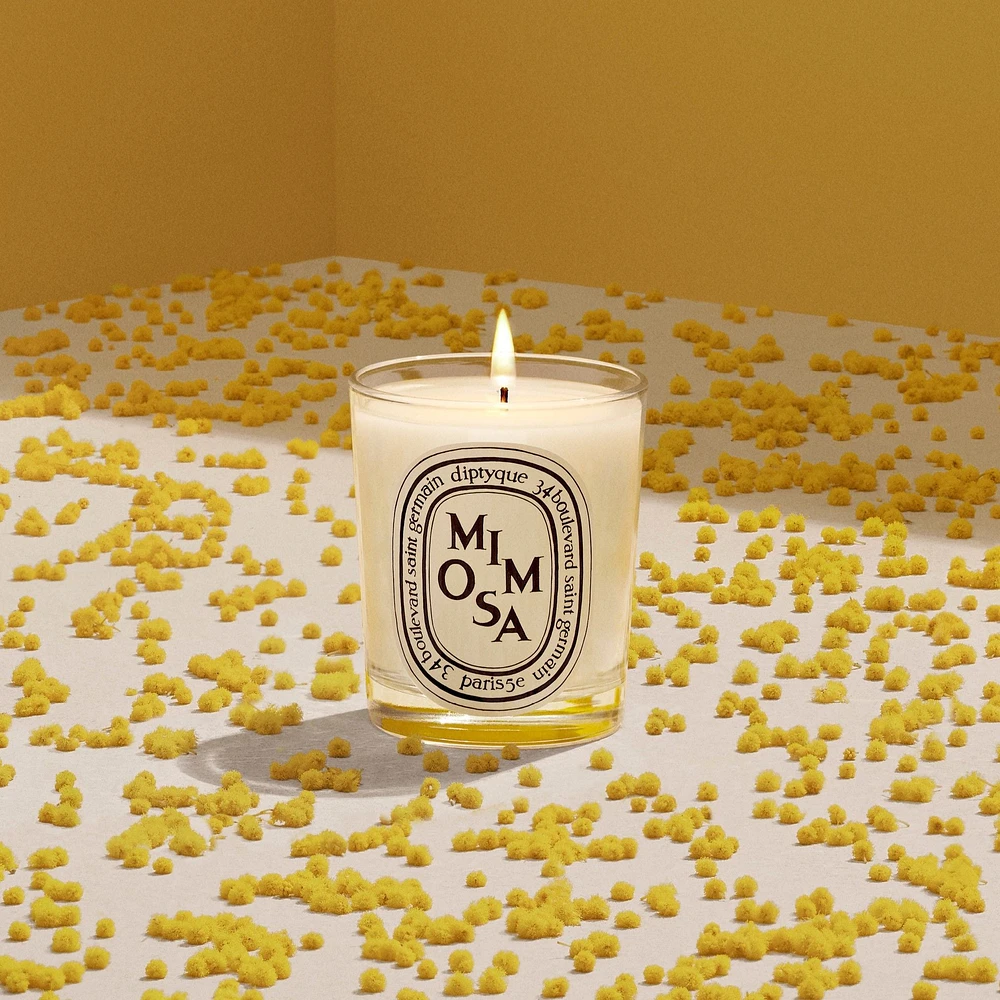 Mimosa Classic Candle