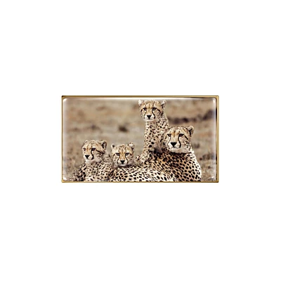 Cheetah Eye Trio (Limited Edition)