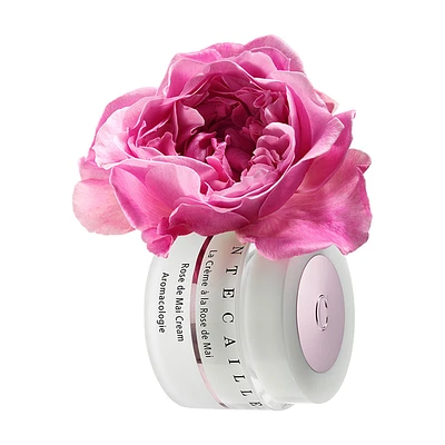 Rose de Mai Cream