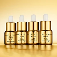 Gold Recovery Intense Concentrate A.M.