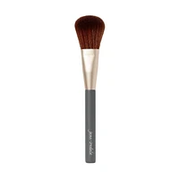 Powder Complexion Brush