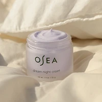 Dream Night Cream