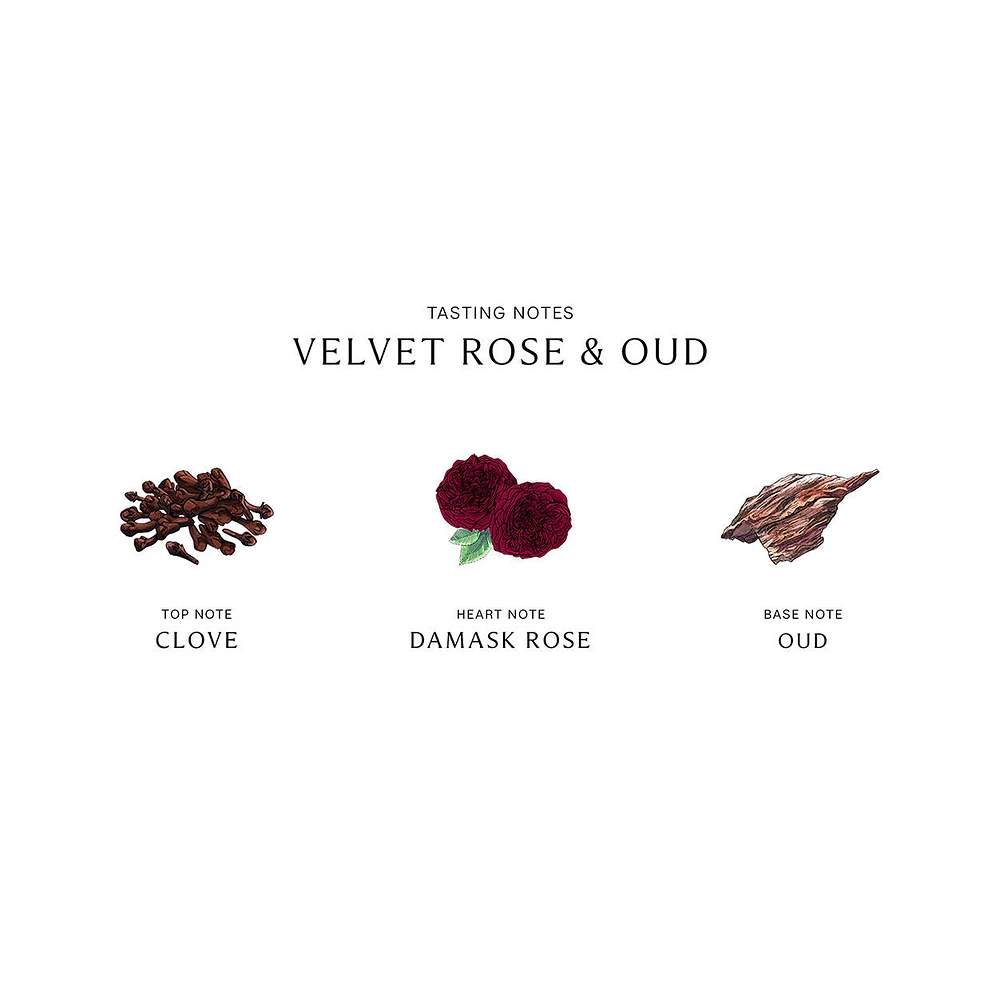 Velvet Rose and Oud Diffuser