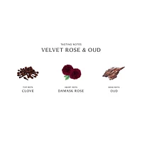 Velvet Rose and Oud Diffuser