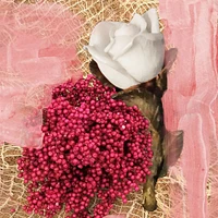 Rose Of No Man's Land Body Wash