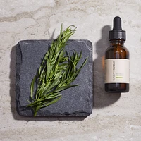 Tea Tree Essential Oil