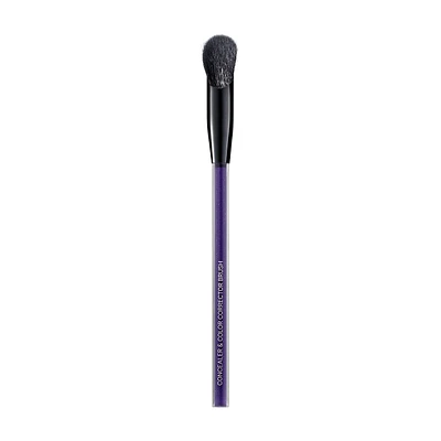 Concealer and Color Corrector Brush