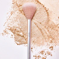 Skin2Skin Fan Brush