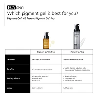 Pigment Gel Pro