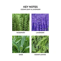 Cedar Leaf and Lavender Reed Diffuser