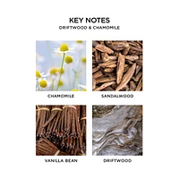 Driftwood and Chamomile Wall Diffuser Refill