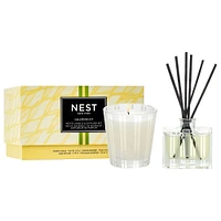 Grapefruit Petite Candle & Diffuser