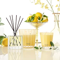 Sunlit Yuzu and Neroli Reed Diffuser