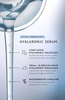 Hyaluronic Duo Set