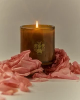 Night Blooming Jasmine & Damask Rose Candle