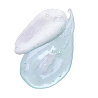 Daily Detox Foaming Cleanser