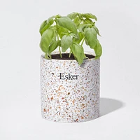 Terrazzo Plantable Candle