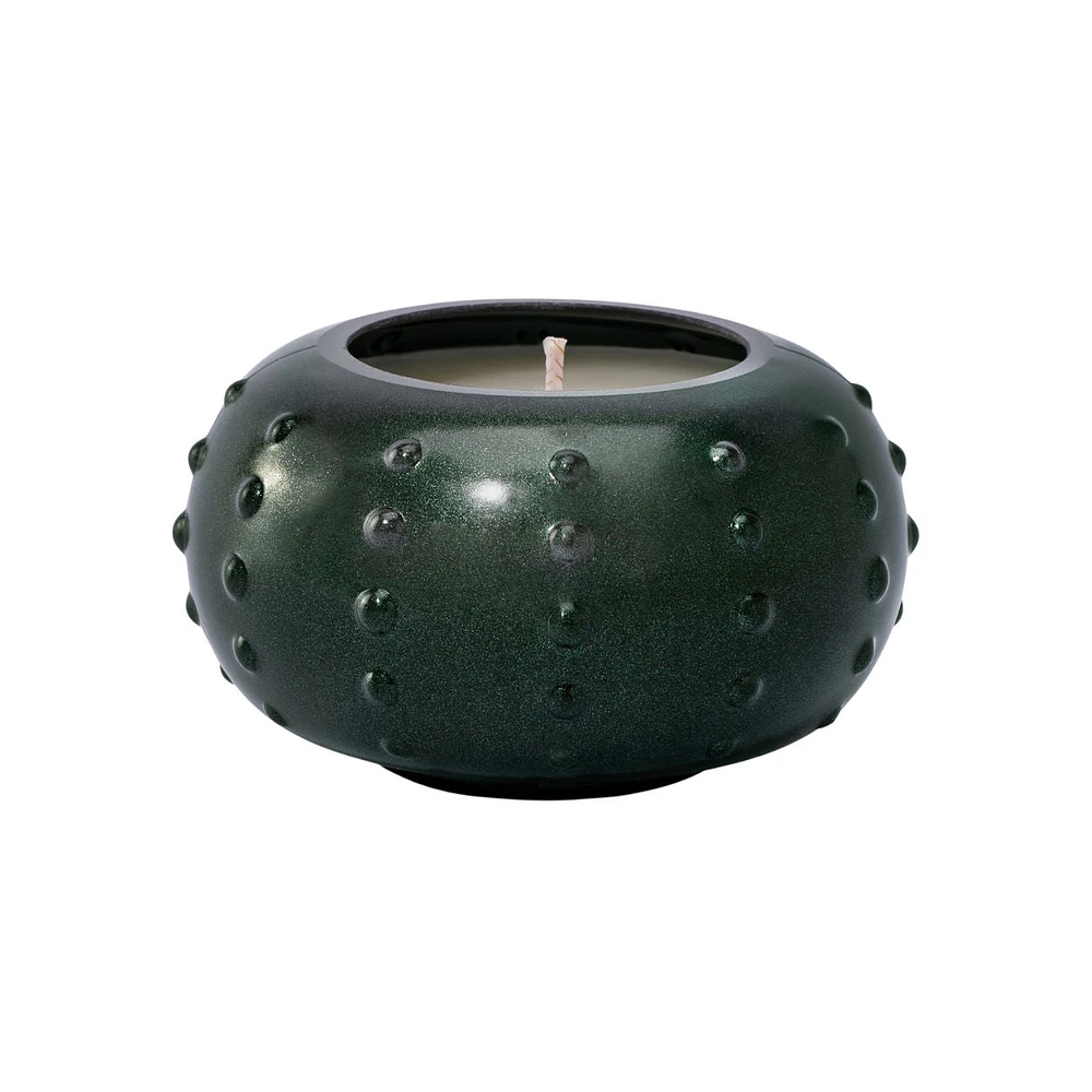 Forest Green Candlescape Candle Teakwood Fir oz