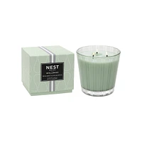 Wild Mint and Eucalyptus Candle