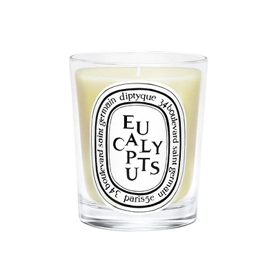 Eucalyptus Candle