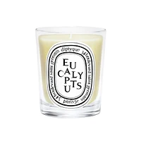 Eucalyptus Candle