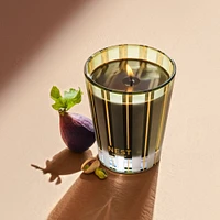 Pistachio & Wild Fig Candle