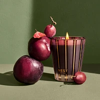 Autumn Plum Candle