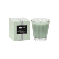 Wild Mint and Eucalyptus Candle