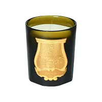 Ernesto Candle