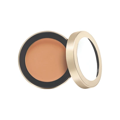 Enlighten Concealer