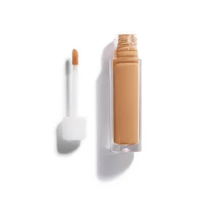Invisible Touch Concealer Refill D310