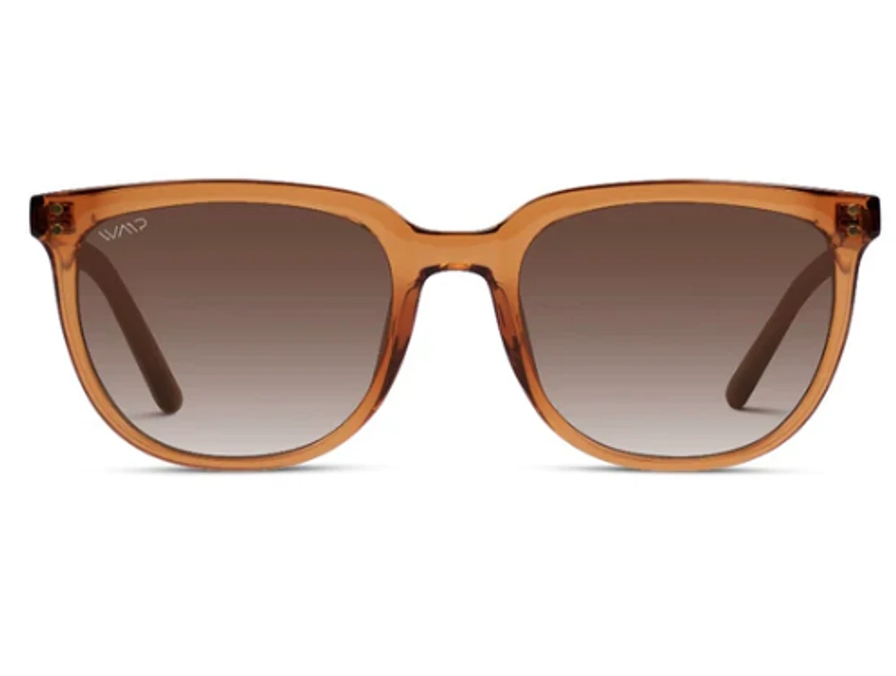 1007 Abner Polarized