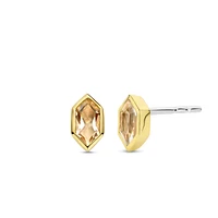 Celestial Peach Stud Earrings