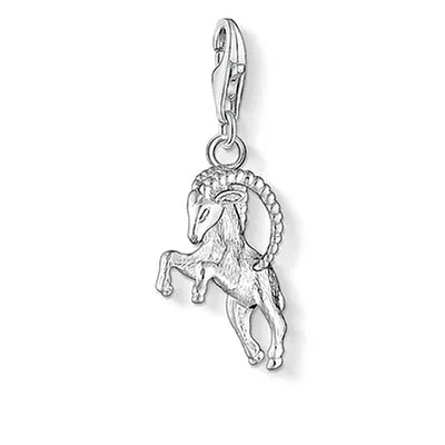 Zodiac Capricorn Charm