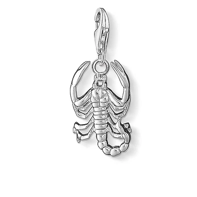 Zodiac Scorpio Charm
