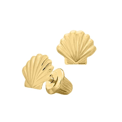 Sea Shell Stud Earrings