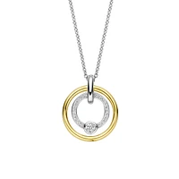 Shine Around Two Tone Necklace