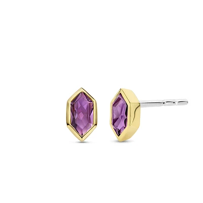 Celestial Violet Stud Earrings