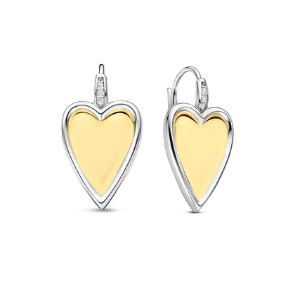 Elongated Heart 2Tone Earrings