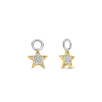 Star Ear Charms