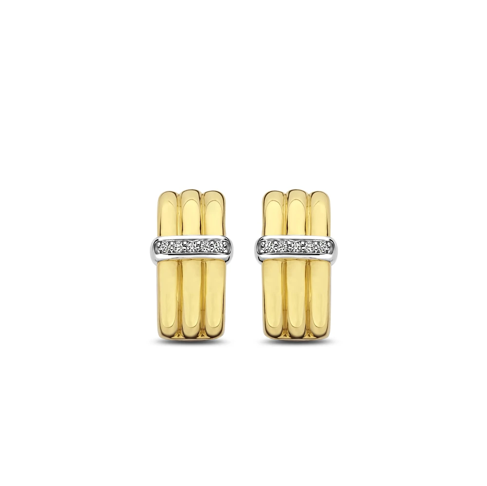 Dashing Golden Earrings