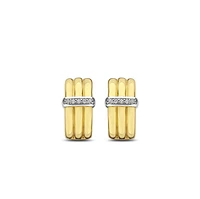 Dashing Golden Earrings