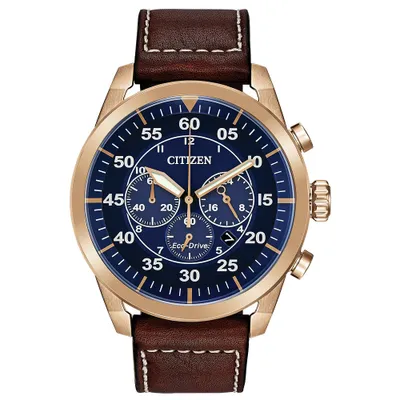 Avion 45MM Brown/Blue Watch