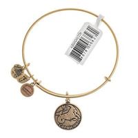 Capricorn Zodiac Bangle