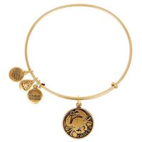 Cancer Zodiac Bangle