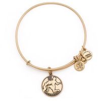 Aquarius Zodiac Bangle