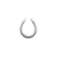 Horseshoe Charm